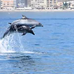 Primera Linea Del Mar - Acceso Directo Playa Carihuela -by Budha 托雷莫利诺斯