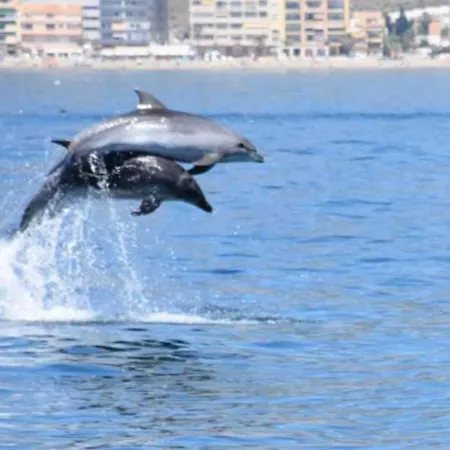 Primera Linea Del Mar - Acceso Directo Playa Carihuela -by Budha 托雷莫利诺斯
