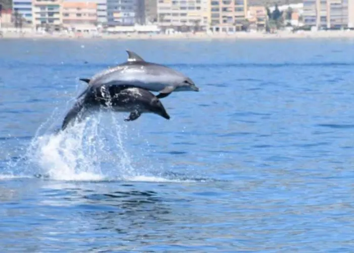 Primera Linea Del Mar - Acceso Directo Playa Carihuela Torremolinos